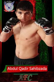 Profilový obrázek - Abdul Qadir Sahibzada