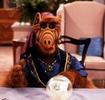 Alf