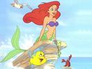 Ariel Disney