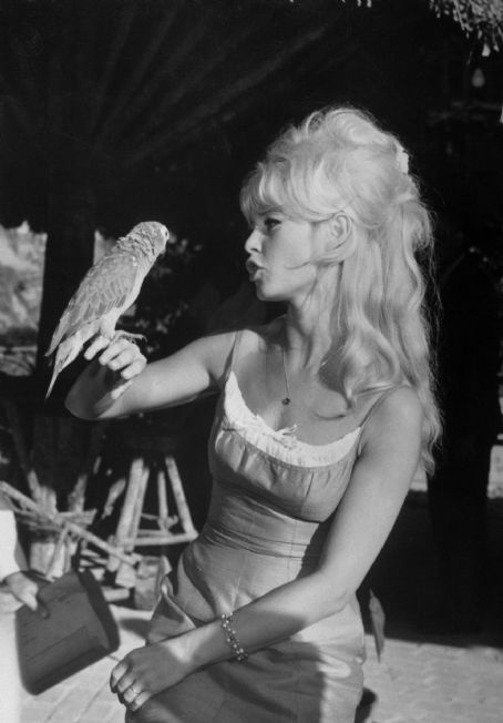 Brigitte Bardot