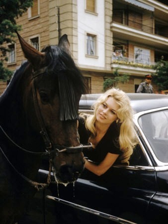 Brigitte Bardot