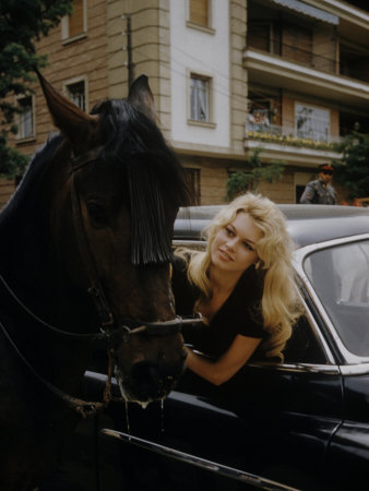 Brigitte Bardot