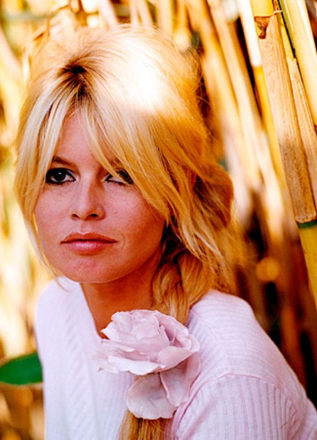 Brigitte Bardot