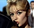 Brigitte Bardot