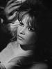 Brigitte Bardot
