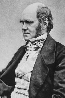 Profilový obrázek - Charles Darwin