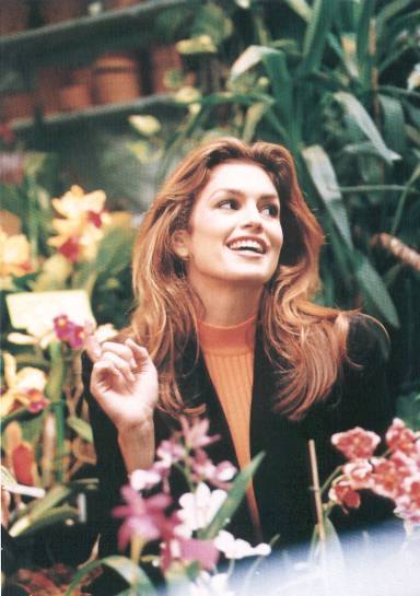 Cindy Crawford