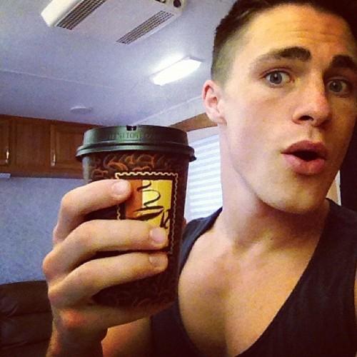 Colton Haynes