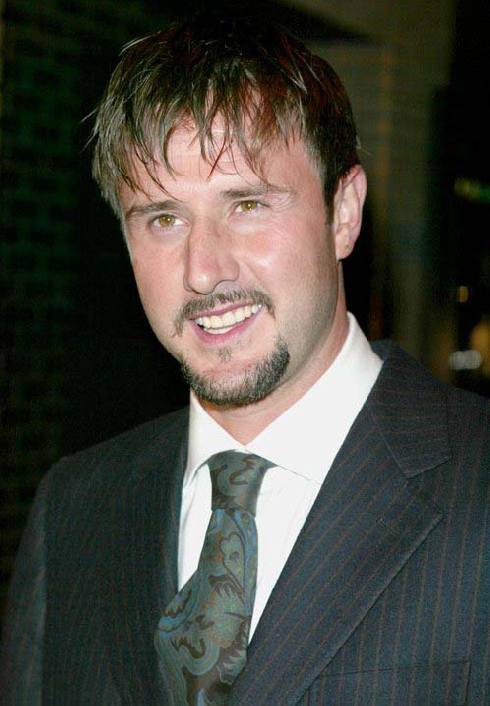 Next photo of David Arquette