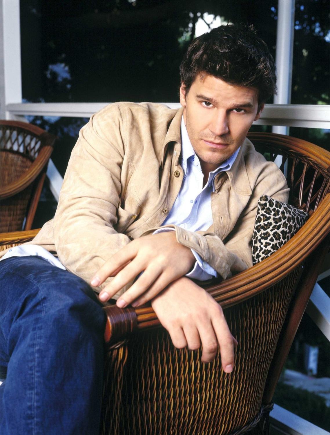 David Boreanaz fotka