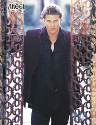 David Boreanaz
