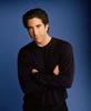 David Schwimmer