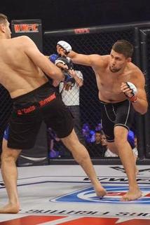 Dzhangir Nasibov