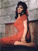 Gina Lollobrigida
