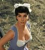 Gina Lollobrigida