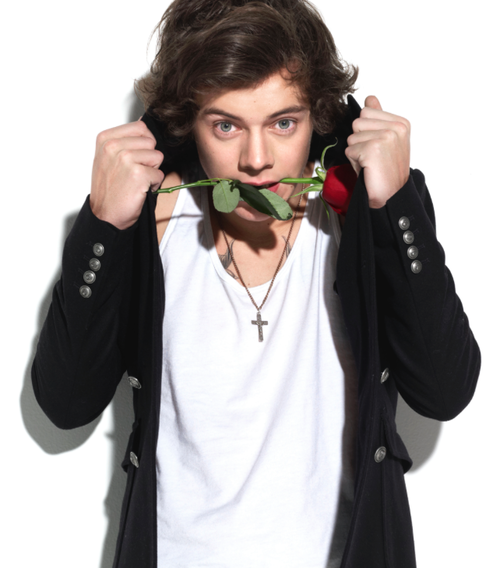 Harry Styles