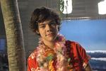 Harry Styles