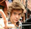 Harry Styles