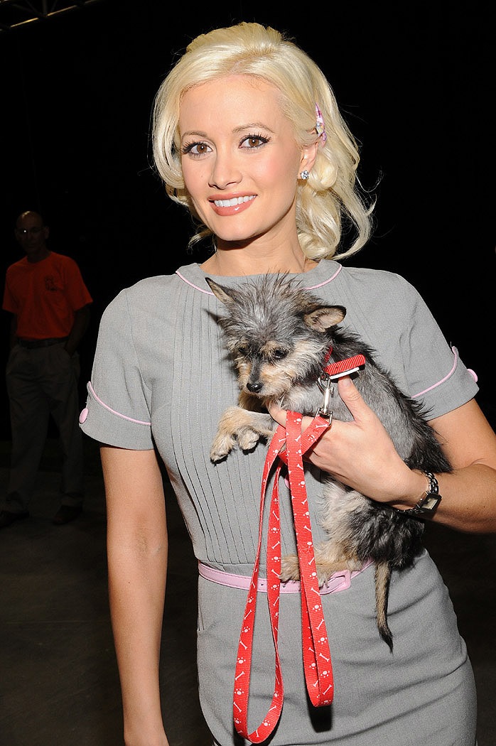 Holly Madison fotka