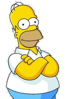 Profilový obrázek - Homer Simpson