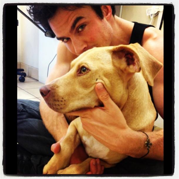 Ian Somerhalder