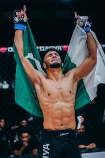 Profilový obrázek - Ismail Khan