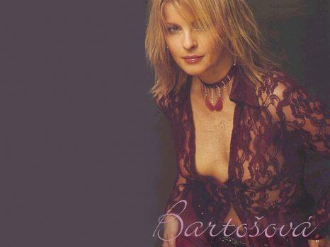 Iveta Bartošová