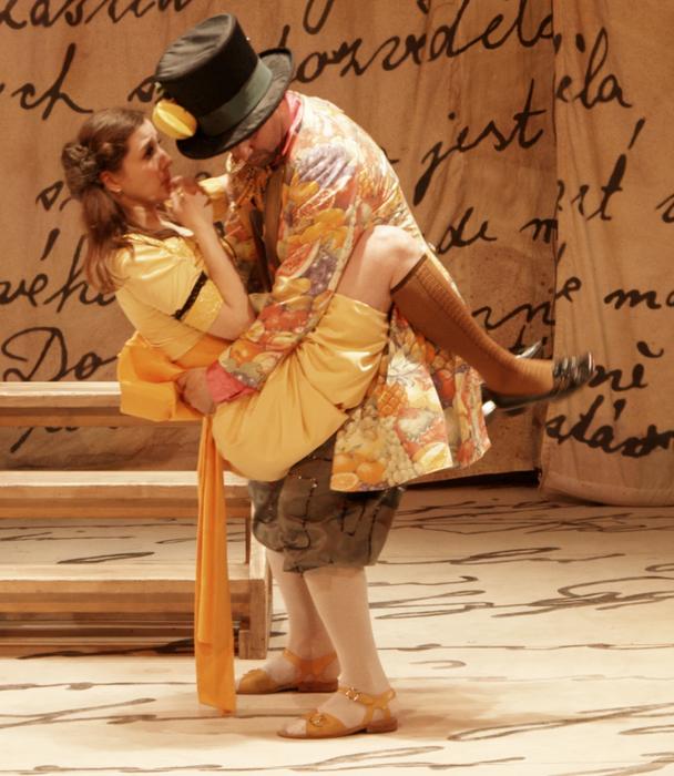 Jana Šteflíčková