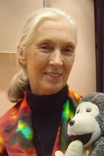 Profilový obrázek - Jane Goodall