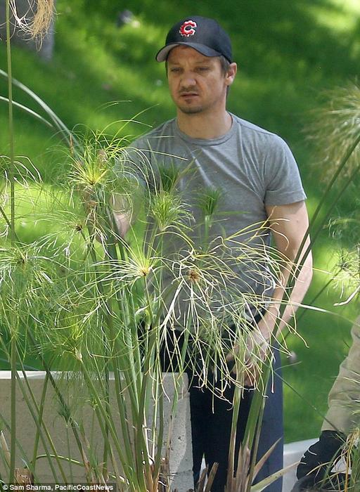 Jeremy Renner