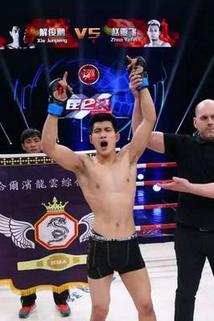 Junpeng Xie
