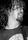 Krist Novoselic