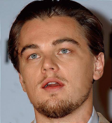 Leonardo DiCaprio