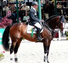 Marcus Ehning