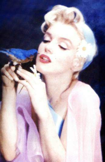 Marilyn Monroe