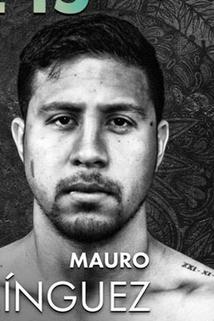 Profilový obrázek - Mauro Dominguez