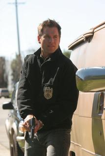Michael Weatherly