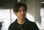Milo Ventimiglia