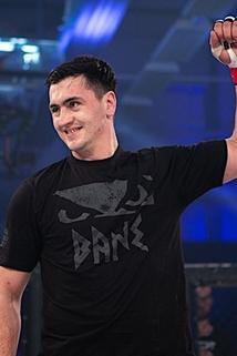 Nermin Hajdarpašić
