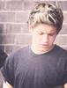 Niall Horan