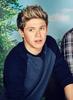 Niall Horan