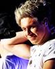 Niall Horan