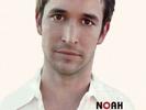 Noah Wyle