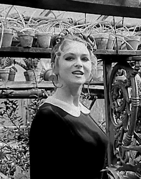 Pavlína Filipovská