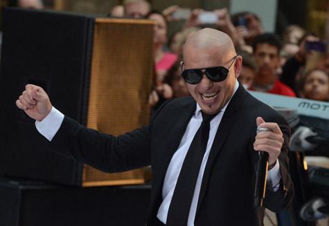 Pitbull