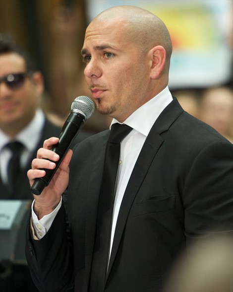 Pitbull