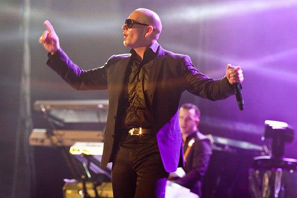 Pitbull