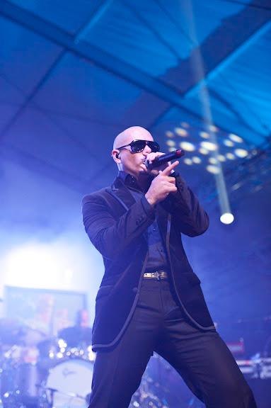 Pitbull