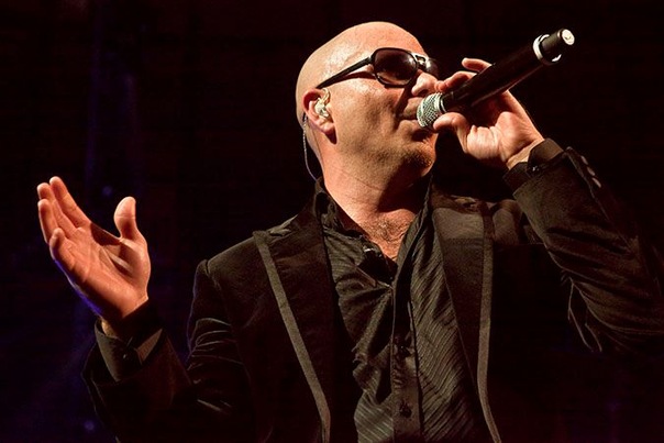 Pitbull