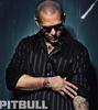Pitbull